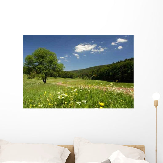 Nice Vessertal Wall Decal