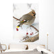 Bohemian Waxing Bird Feeding On Red Mountain Ash Berries Wall Mural