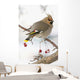 Bohemian Waxing Bird Feeding On Red Mountain Ash Berries Wall Mural