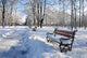 red benches Wall Mural