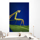 Praying mantis on a blue background;St albert alberta canada Wall Mural