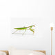Praying Mantis White St Wall Decal