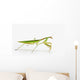 Praying Mantis White St Wall Decal