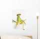 Praying mantis on white background;St albert alberta canada Wall Mural