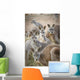 Kangaroos;Waga waga australia Wall Mural