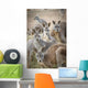 Kangaroos;Waga waga australia Wall Mural