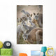 Kangaroos;Waga waga australia Wall Mural
