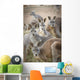 Kangaroos;Waga waga australia Wall Mural