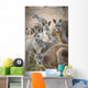 Kangaroos;Waga waga australia Wall Mural