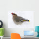 Bohemian Waxing Bird Feeding On Red Mountain Ash Berries Wall Mural