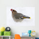 Bohemian Waxing Bird Feeding On Red Mountain Ash Berries Wall Mural