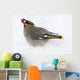 Bohemian Waxing Bird Feeding On Red Mountain Ash Berries Wall Mural