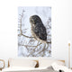 Close Up Of A Great Gray Owl Perched In A Tree Wall Mural