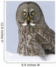 Great Gray Sitting In Snow, Anchorage, Southcentral Alaska, Winter Wall Mural