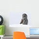 Great Gray Sitting In Snow, Anchorage, Southcentral Alaska, Winter Wall Mural