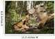 A New Moose Calf Nuzzles Her Mom As They Lay Wall Mural