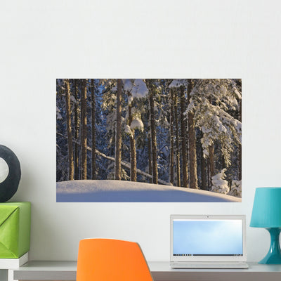 Fresh Snowfall Wall Mural shown on a wall