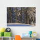 Fresh Snowfall Wall Mural