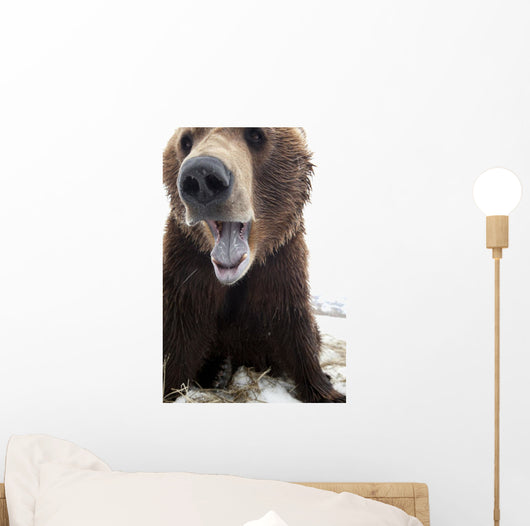 Captive Wall Mural