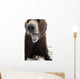 Captive Wall Mural