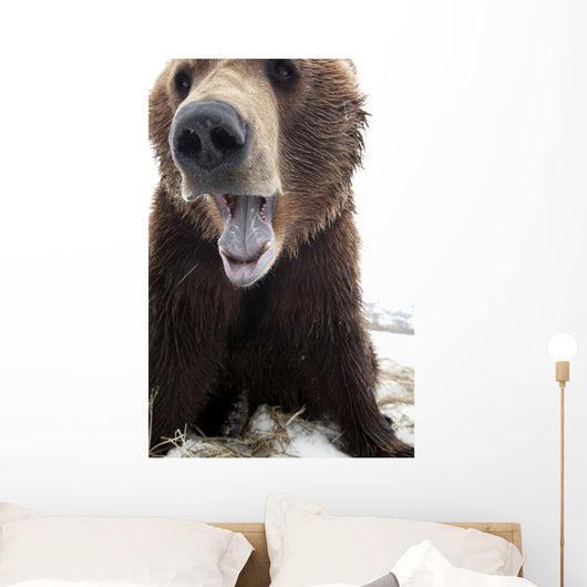 Captive Wall Mural
