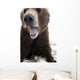 Captive Wall Mural