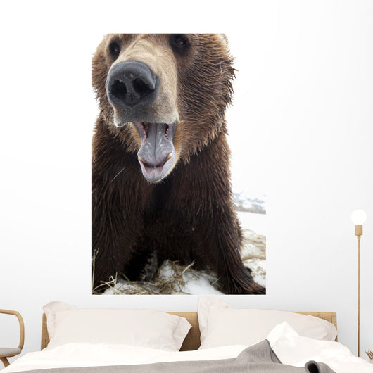Captive Wall Mural