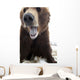 Captive Wall Mural