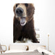 Captive Wall Mural