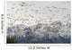 A Large Flock Of Snow Geese Take Off From A Field In The Mat-Su Valley Wall Mural