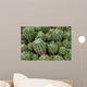 Cactus Wall Mural