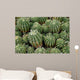 Cactus Wall Mural