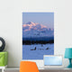 Recreational Dog Mushing Wall Mural