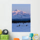 Recreational Dog Mushing Wall Mural