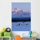 Recreational Dog Mushing Wall Mural
