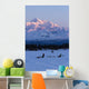Recreational Dog Mushing Wall Mural