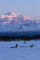 Recreational Dog Mushing Wall Mural