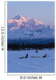 Recreational Dog Mushing Wall Mural