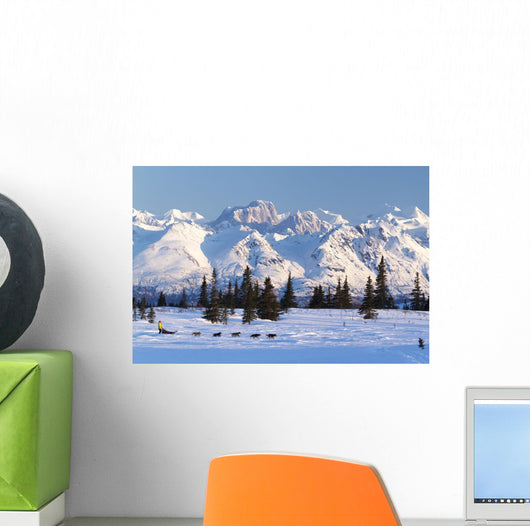 Recreational Dog Mushing Wall Mural