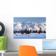 Recreational Dog Mushing Wall Mural
