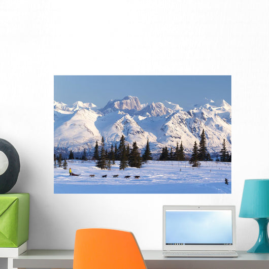 Recreational Dog Mushing Wall Mural