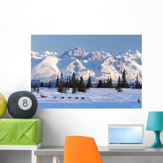 Recreational Dog Mushing Wall Mural