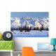 Recreational Dog Mushing Wall Mural