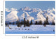 Recreational Dog Mushing Wall Mural