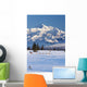 Recreational Dog Mushing Wall Mural