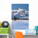 Recreational Dog Mushing Wall Mural