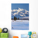 Recreational Dog Mushing Wall Mural