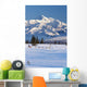 Recreational Dog Mushing Wall Mural