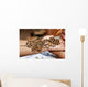 Applying henna on hand Wall Mural