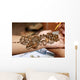 Applying henna on hand Wall Mural